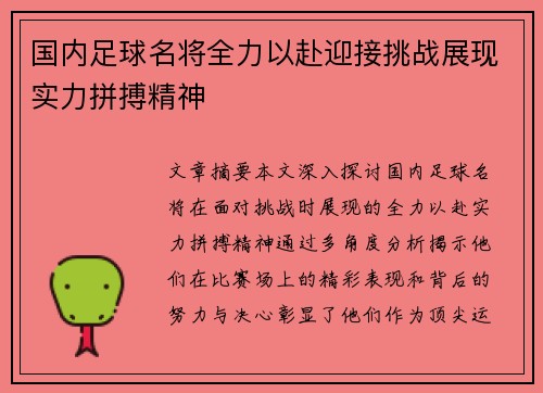 国内足球名将全力以赴迎接挑战展现实力拼搏精神