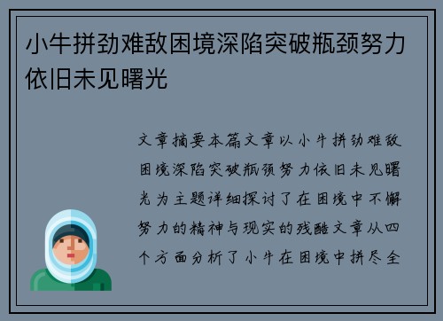 小牛拼劲难敌困境深陷突破瓶颈努力依旧未见曙光