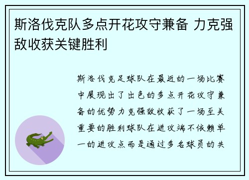 斯洛伐克队多点开花攻守兼备 力克强敌收获关键胜利