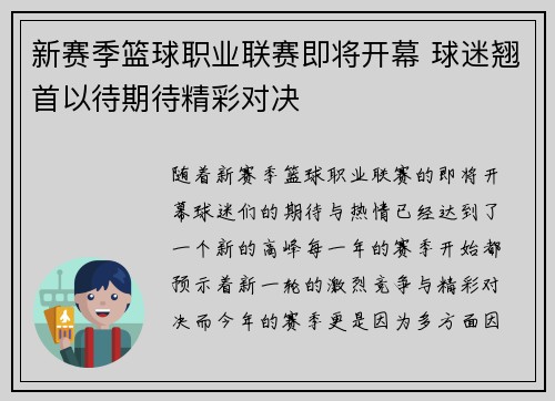 新赛季篮球职业联赛即将开幕 球迷翘首以待期待精彩对决